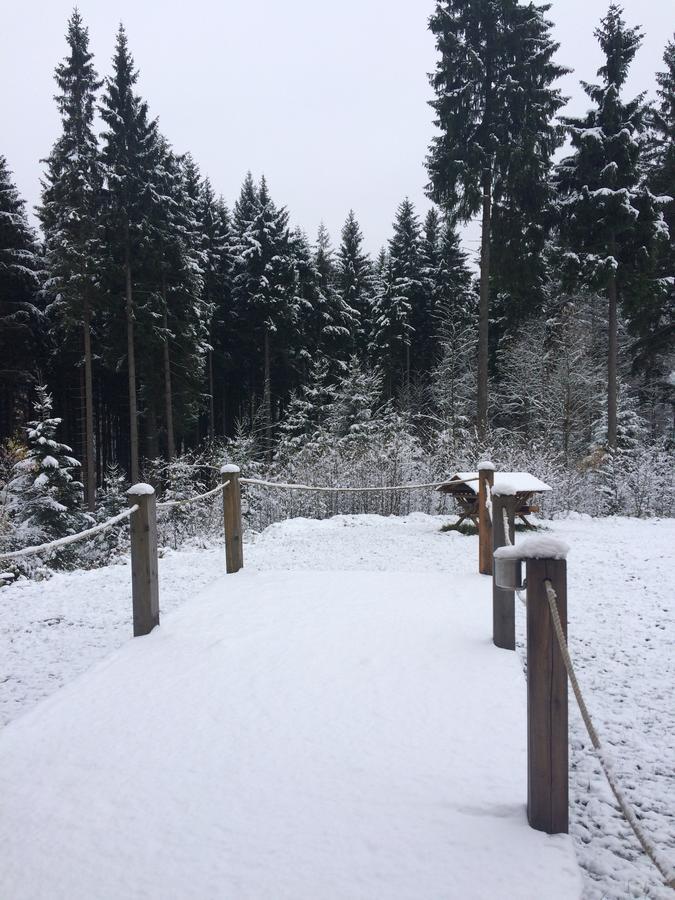 Ht Chalets Harrachov Esterno foto