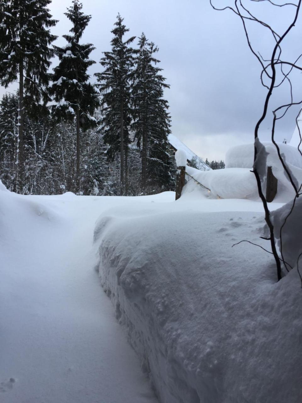 Ht Chalets Harrachov Esterno foto